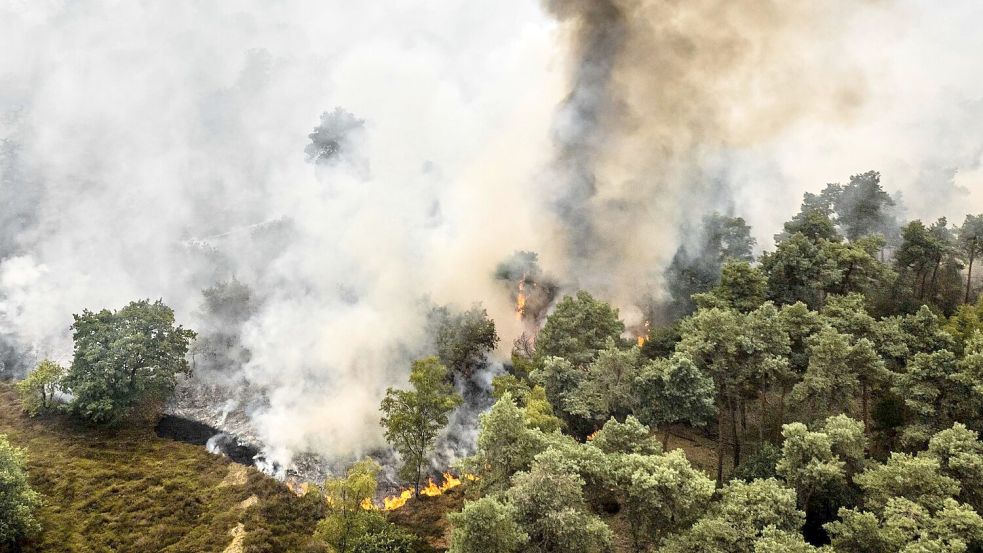Nach anhaltender Trockenheit breiten sich die Flammen im Naturschutzgebiet De Rosmolen schnell aus. Foto: Rob Engelaar