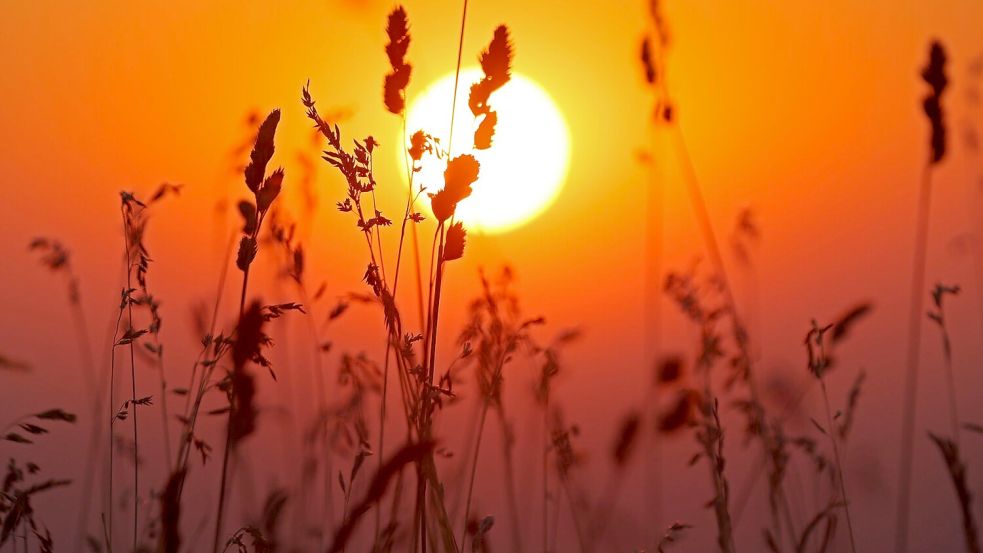Bevor der Wetterumschwung kommt, soll es noch einmal heiß werden. Foto: Matthias Bein