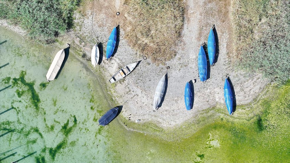 Auch am Bodensee lagen schon vor Wochen Boote auf dem Trockenen. Foto: Felix Kästle