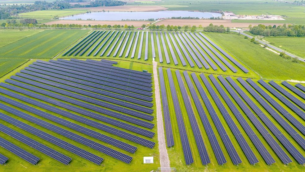 Die Grünen erwarten, dass der Ausbau von Erneuerbaren und Speichern die Energiepreise drückt. (Archivbild) Foto: Sina Schuldt