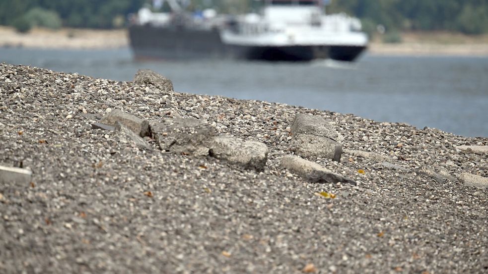 Wegen der niedrigen Pegelstände können Güter auf den Wasserstraßen nur eingeschränkt transportiert werden. (Archivbild) Foto: Federico Gambarini