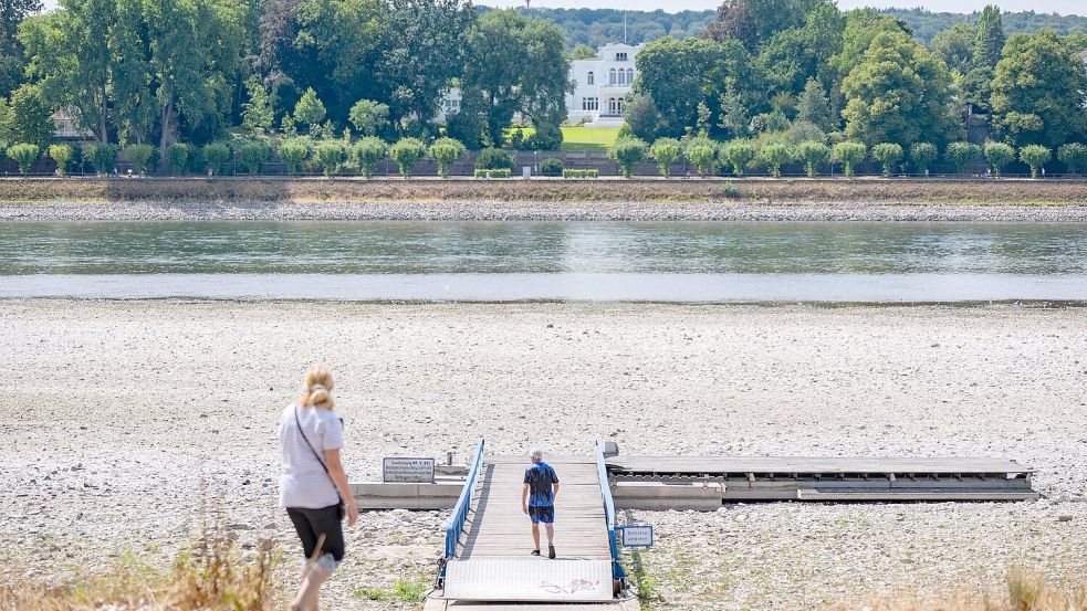Niedrigwasser im Rhein in Bonn. Die Grünen fordern „intakte Flüsse als Priorität“. Foto: Benjamin Westhoff
