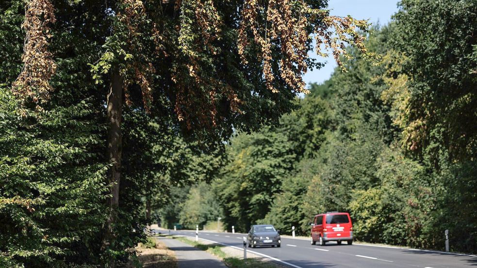 Wer in diesen Wochen draußen unterwegs ist, wähnt sich vielerorts bereits im Herbst. Foto: David Ebener