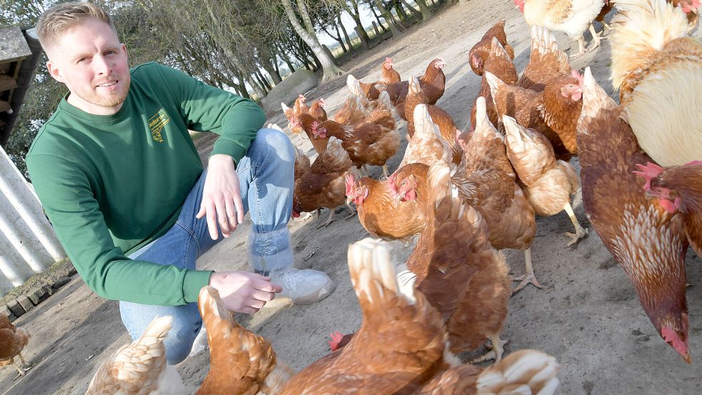 Ein Bild aus kühleren Tagen: Juniorchef Volker Posselt setzt bei seinen Legehennen auf sogenannte Braunleger. An ihren roten Ohrlappen ist erkennbar, dass sie braune Eier legen. Foto: Archiv/Ortgies