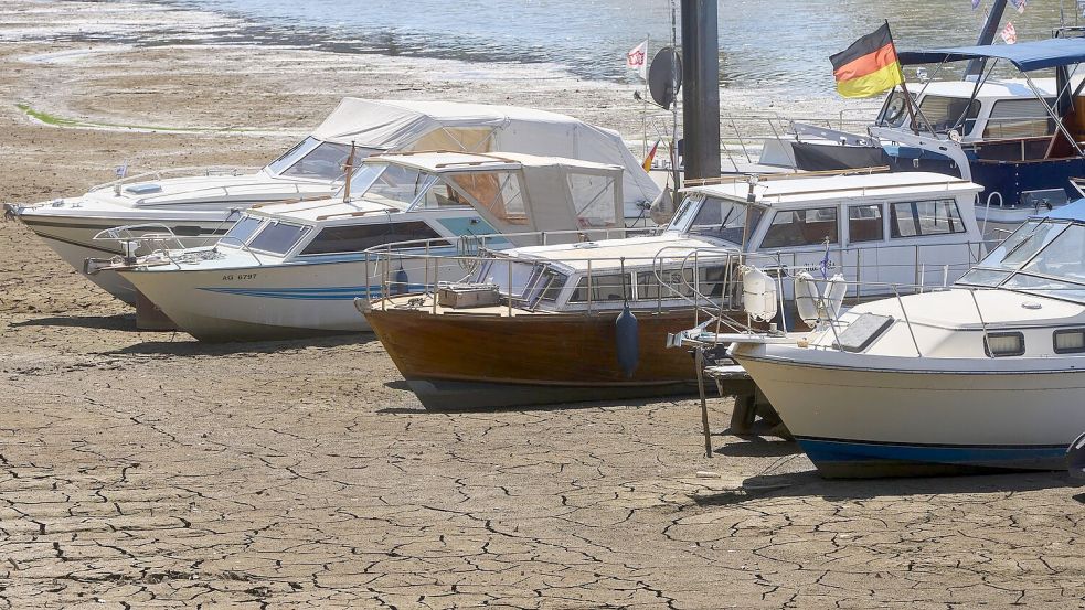 Die Wasserstände im Rhein sind wegen der anhaltenden Trockenheit stark gesunken. Foto: Thomas Frey