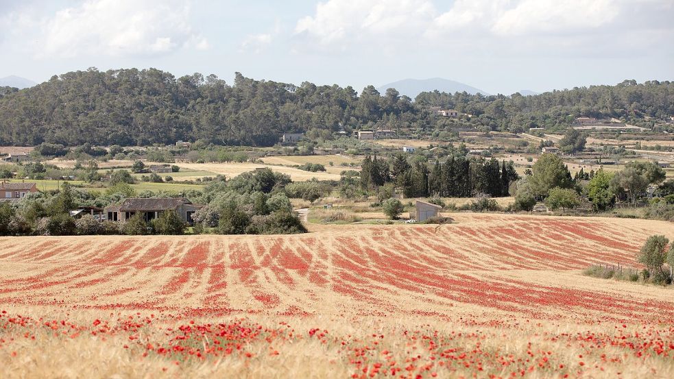 Die totale Sonnenfinsternis ist in Spanien vor allem von dünn besiedelten Regionen aus gut zu beobachten. In diese wunderschönen Landschaften verirren sich sonst nicht so viele ausländische Urlauber. Foto: Clara Margais