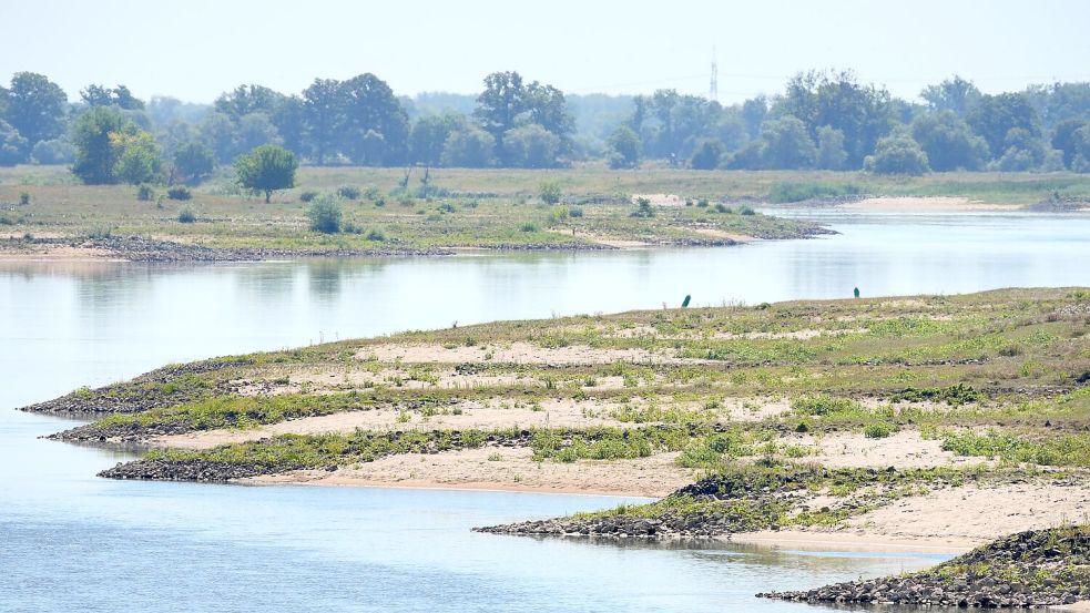 Niedrigwasser erschwert die Schifffahrt auf mehreren Flüssen. Foto: Soeren Stache/dpa