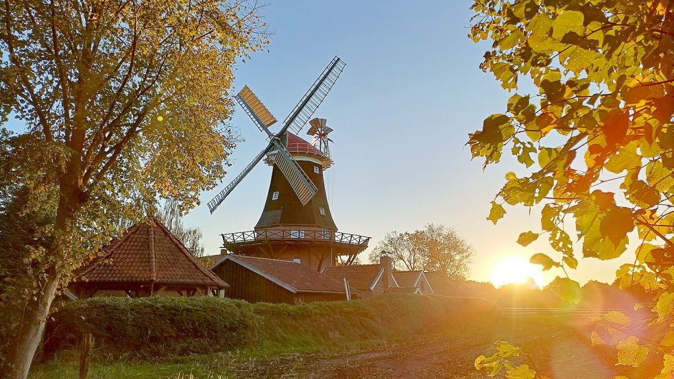 Der Möhlenkring Rhaude-Holte hat einen Brotverkauf an der Rhauder Mühle angekündigt. Foto: Manuela Schmidt