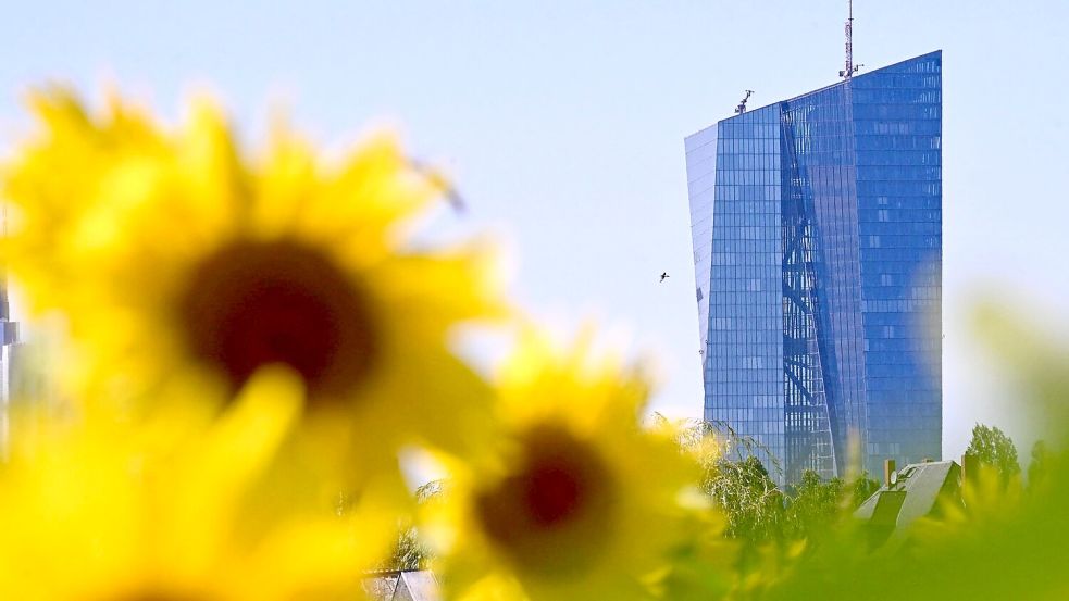 Die Währungshüter der Europäischen Zentralbank in Frankfurt setzen auf eine Vielfalt der Zahlungsmöglichkeiten. (Archivbild) Foto: Jennifer Brückner