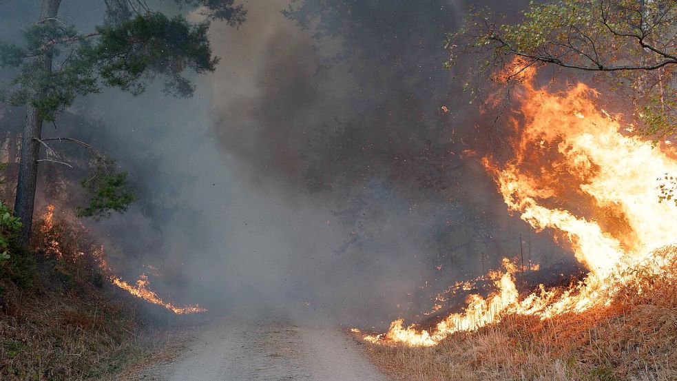 Flammen schlagen im Hürtgenwald hoch. Foto: Jan Ohmen