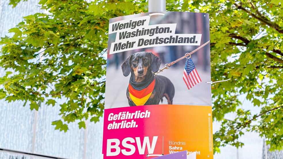 Plakativ: Erstmals wirbt auch in Osnabrück das BSW um Wählerstimmen. Foto: IMAGO/Stefan Zeitz Photography