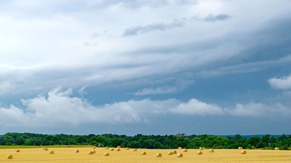 Die Hitze geht, Wolken und Gewitter kommen. (Symbolbild) Foto: Patrick Pleul