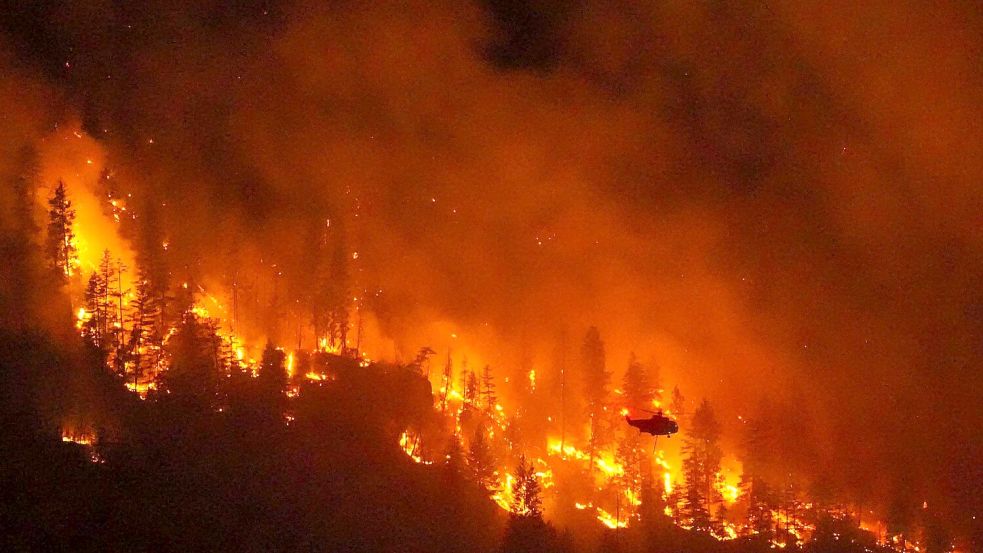 Mit einer sich erhöhenden Ausbreitungsgeschwindigkeit nimmt auch die Intensität der Feuer zu. Foto: Darryl Dyck