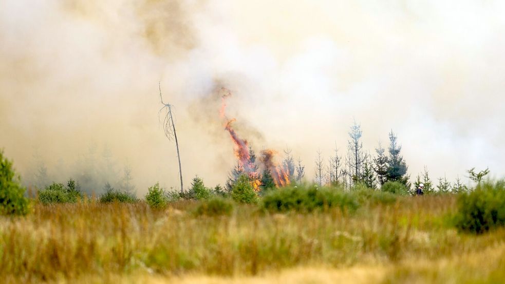 Flammen in der Hochmoor- und Sumpflandschaft Hohe Venn - es liegt unweit der deutschen Grenze. Foto: Christoph Reichwein