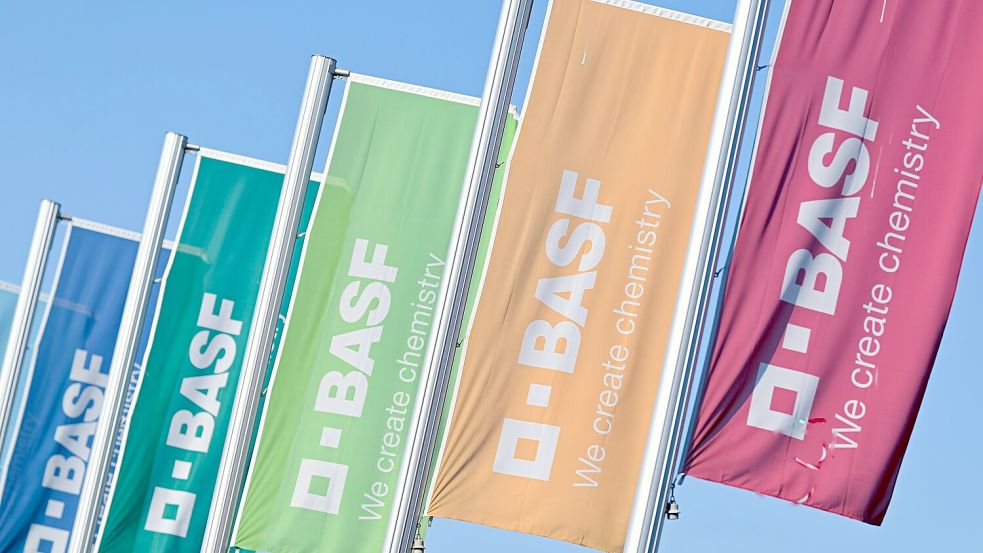 Für den größten Chemiekonzern der Welt ist der kombinierte Verkehr von besonderer Bedeutung. (Archivbild) Foto: Uwe Anspach