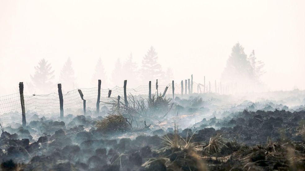 Der Flächenbrand im Hohen Venn hat große Schäden angerichtet. Foto: Marius Burgelman