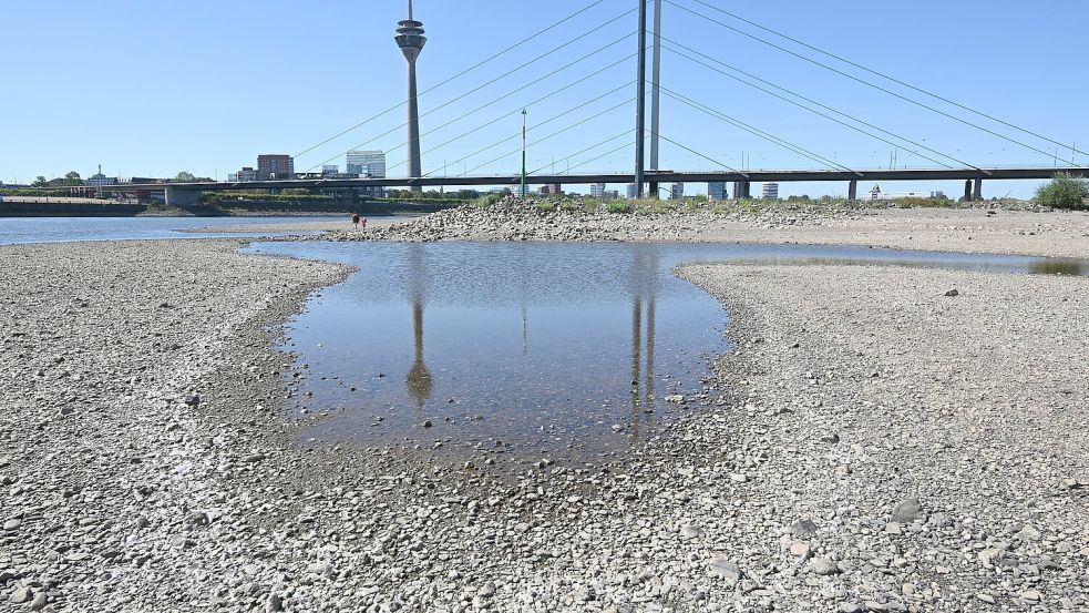 Wegen des Niedrigwassers können Binnenschiffe nur begrenzt beladen werden (Archivbild) Foto: Federico Gambarini