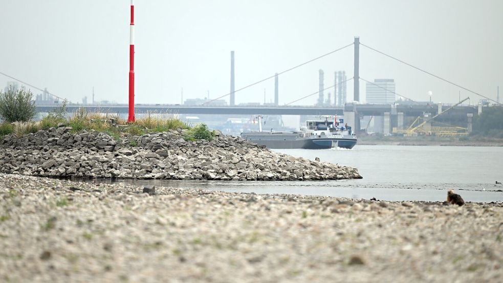 Der Regen stoppt das weitere Absinken der Pegelstände. Die Schifffahrt sollte aber nicht zu viel erwarten, warnt ein Experte. (Archivbild) Foto: Federico Gambarini