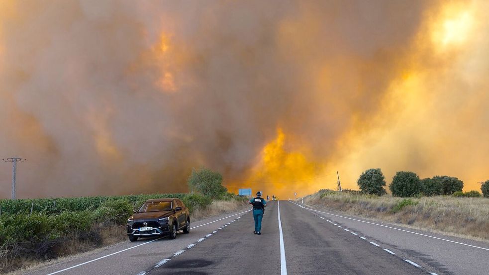 Dichter Rauch während eines Waldbrandes am Rande einer Landstraße in Spanien (Archivbild) Foto: Paloma V. Escarpa/EUROPA PRESS/d