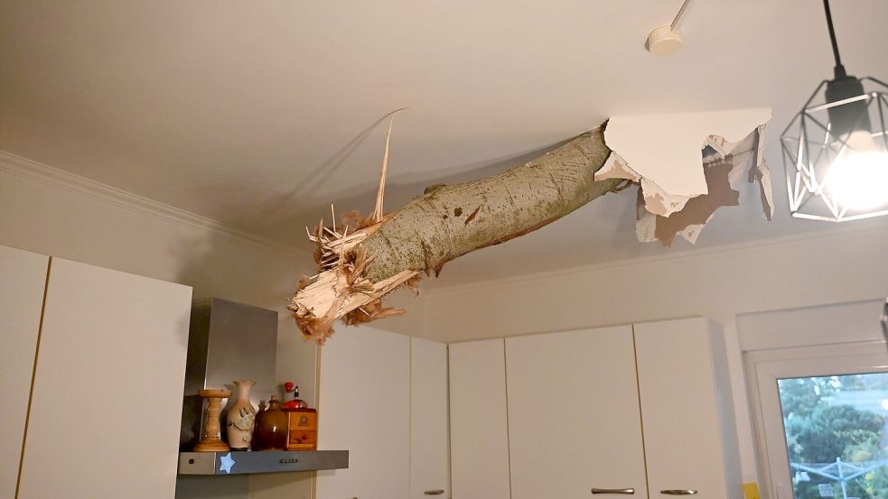 Hier krachte ein Baum durch ein Dach - verletzt wurde niemand. Foto: Sappeck