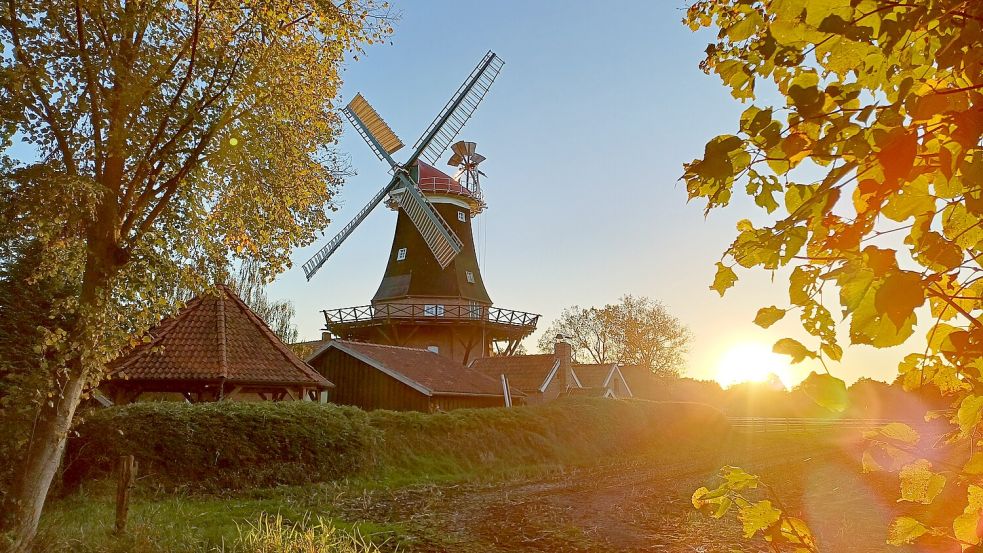 Der Möhlenkring Rhaude-Holte hat einen Brotverkauf an der Rhauder Mühle angekündigt. Foto: Manuela Schmidt
