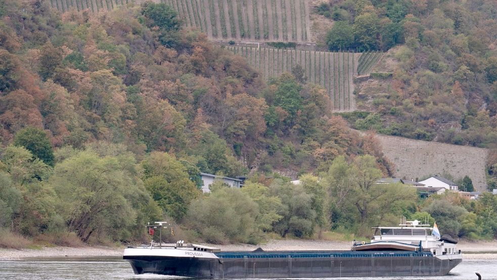 Dank Regens in Süddeutschland steigen die Rheinpegel wieder langsam, sind aber von Durchschnittswerten weit entfernt. Foto: Lea Winkler