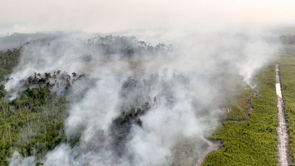 Auf Borneo wüten seit Wochen schwere Waldbrände. Foto: -