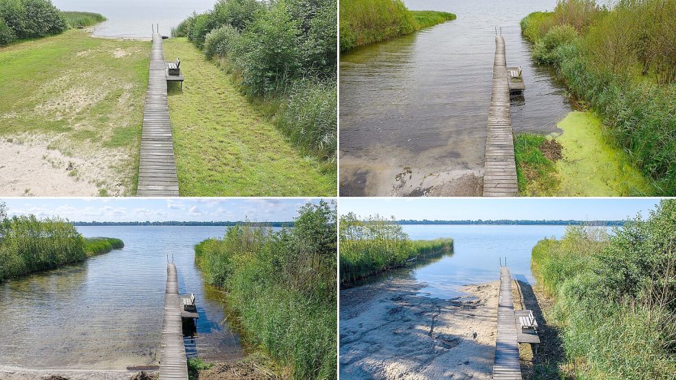 Hier ist eine Badestelle am Ufer des Arendsees in der Altmark zu sehen - im Jahr 2023 (oben links), 2024 (oben rechts), 2025 (unten links) und 2026 (unten rechts). Foto: Klaus-Dietmar Gabbert
