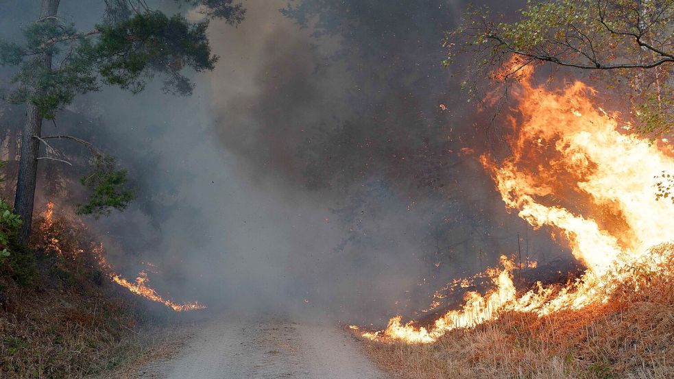 Waldbrände - wie hier im Hürtgenwald in Nordrhein-Westfalen - werden meist durch den Menschen verursacht. Doch der Klimawandel macht die Bedingungen dafür wahrscheinlicher. Foto: Jan Ohmen