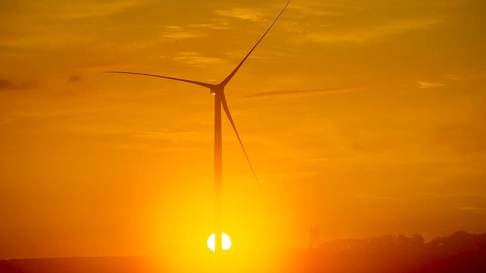 Vorhandene Windkraft war ein Standortfaktor für den Aufbau eines Rechenzentrums in Dummerstorf bei Rostock. (Archivbild) Foto: Jens Büttner