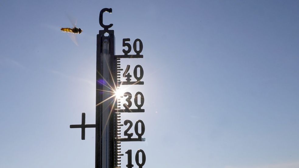 Im Sommer gab es teils Temperaturen über 40 Grad. (Symbolbild) Foto: Thomas Warnack/dpa