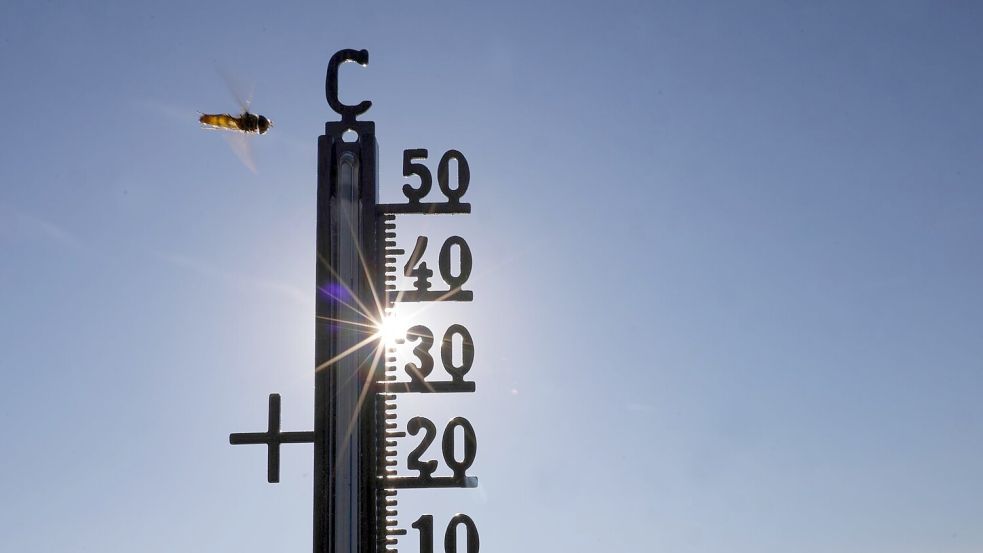Im Sommer gab es teils Temperaturen über 40 Grad. (Symbolbild) Foto: Thomas Warnack/dpa