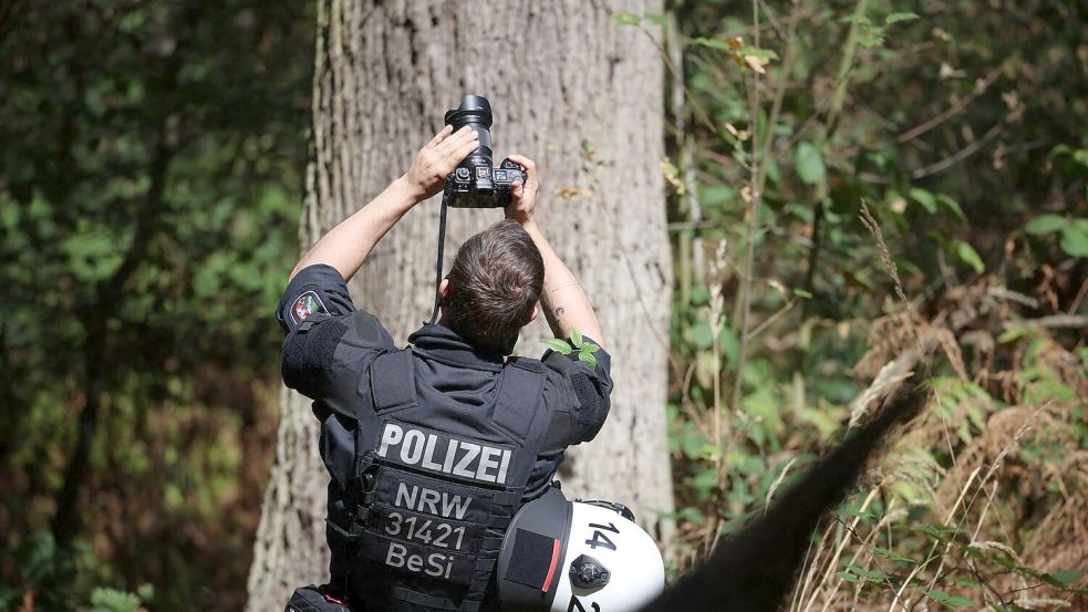 Mögliche Verstecke auf Bäumen werden geprüft. Foto: Christoph Reichwein/dpa