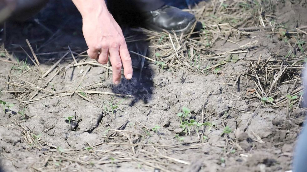 Die Ermittler suchen weiter nach dem Strom-Saboteur. Foto: str