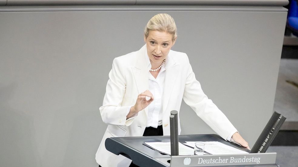 Weidel sieht Schwarz-Rot am Ende. Foto: Christoph Soeder/dpa