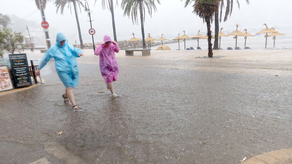 Örtlich fielen bis zu 47 Liter Regen pro Quadratmeter. Foto: Clara Margais
