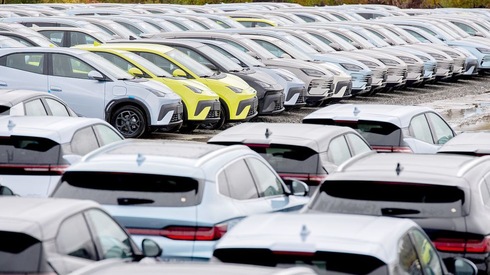 BYD ist der weltgrößte größte Bauer von Elektrofahrzeugen. Foto: dpa/Hauke-Christian Dittrich