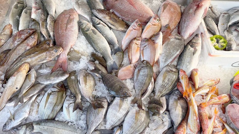Frischen Fisch erkennt man unter anderen an den klaren, glänzenden Augen. Foto: Alexia Angelopoulou/dpa