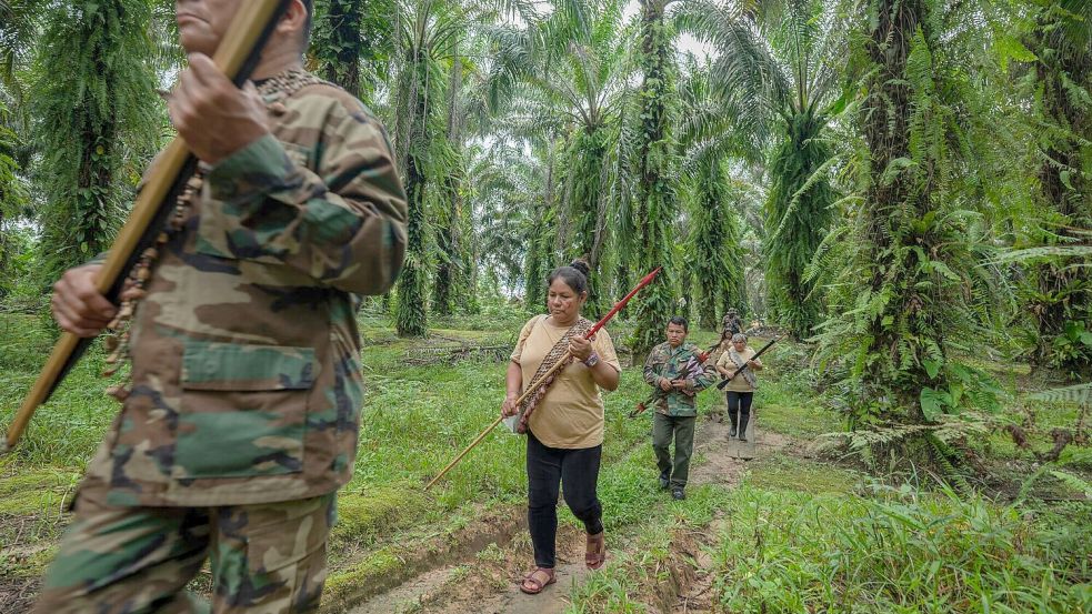 Lateinamerika bleibt ein besonders gefährlichstes Pflaster für Umweltschützer. (Archivbild) Foto: Leslie Searles/Global Witness/dp
