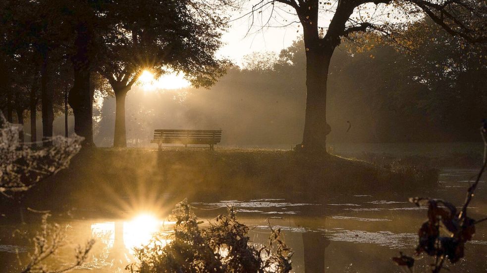 Vitamin D ist wichtig, doch Nahrungsergänzungsmittel sind nicht für alle Menschen automatisch nötig. (Symbolbild) Foto: Alicia Windzio