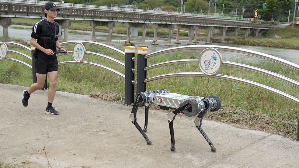 Der vierbeinige Roboter „Raibo2“ hat einen vollständigen Marathonlauf in 4 Stunden und 19 Minuten in Südkorea absolviert. Foto: -/KAIST/dpa