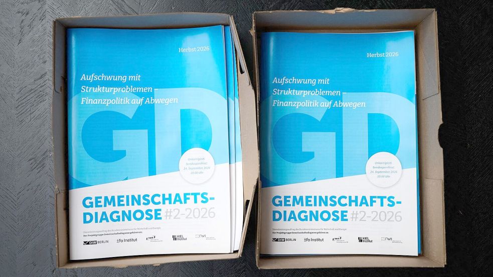 Die Gemeinschaftsdiagnose wird im Frühjahr und im Herbst von Wirtschaftsforschungsinstituten veröffentlicht. Foto: Sebastian Christoph Gollnow/dpa