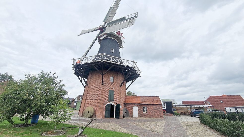 An der Mühle Wichers in Stapelmoor gibt es einiges zu tun. Guus Zantinga von der Mühlenbaufirma Molema inspizierte unter anderem die Galerie und die Flügel. Foto: Tatjana Gettkowski