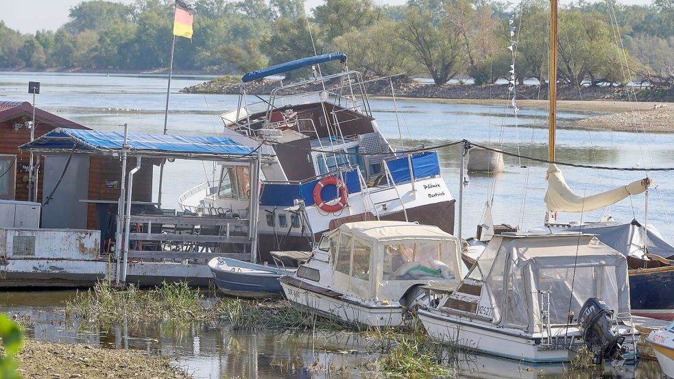 Zu wenig Wasser: Bei Oestrich-Winkel im hessischen Rheingau liegen Sportboote auf dem Grund des Rheins.  Foto: Thomas Frey/dpa
