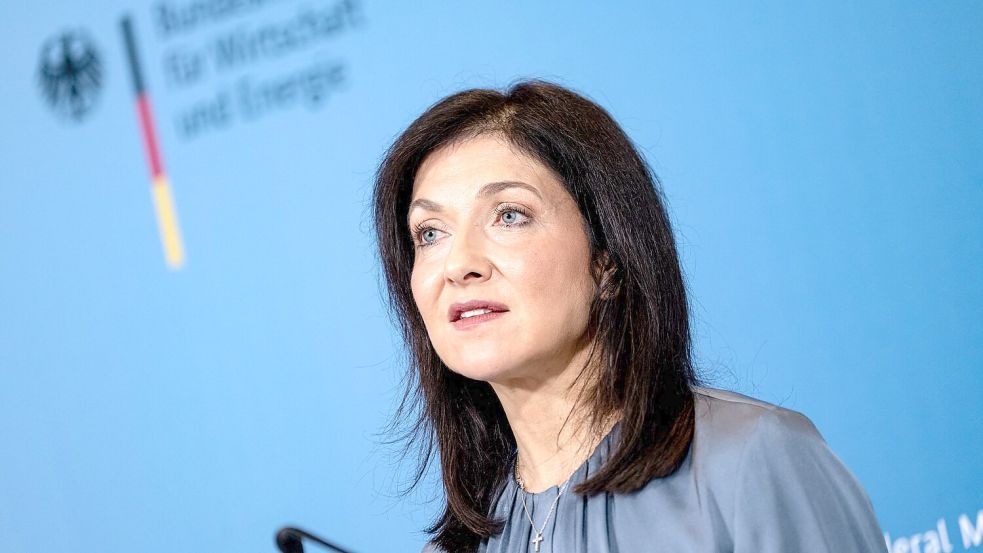 Die Linke wendet sich wegen eines Instagram-Beitrags des Wirtschaftsministeriums nun an das Bundesverfassungsgericht. (Archivbild) Foto: Fabian Sommer/dpa
