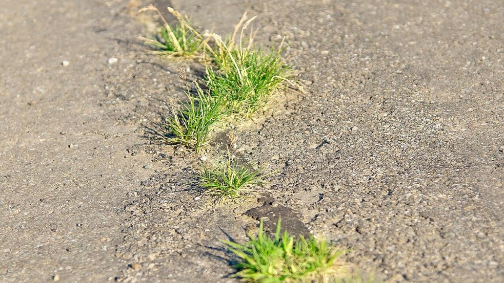 Schadstellen im Asphalt gefährden den Verkehr für Autofahrer und Radfahrer. Die Straßenmeisterei Friesoythe lässt jetzt in ihrem Bezirk für eine knappe Million Euro Schlaglöcher auf Straßen und Radwegen von einer Fachfirma beseitigen. Symbolfoto: Michael Schwarzenberger / Pixabay