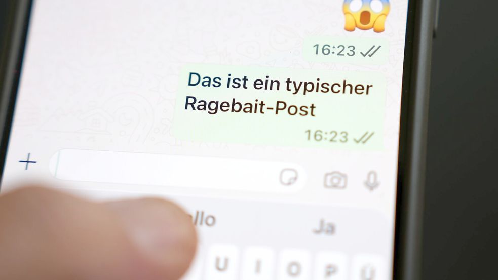 Mit „Ragebait“ sind Aussagen gemeint, die absichtlich triggern sollen. (Archivbild) Foto: Marcus Brandt/dpa