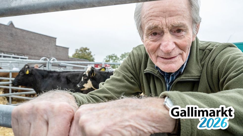 Peter-Hermann Willms ist seit 1965 als selbstständiger Viehhändler auf dem Galli-Viehmarkt. Foto: Klaus Ortgies