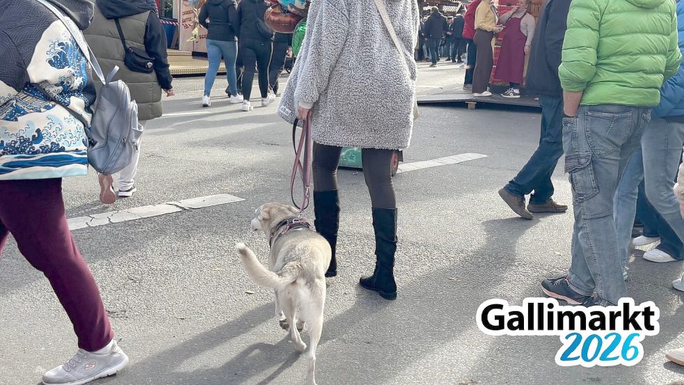 Am Eröffnungstag des Gallimarktes haben Besucher ihren Hund mit aufs Festgelände genommen. Das ist jetzt verboten. Es gibt nur wenige Ausnahmen. Foto: Jonas Bothe