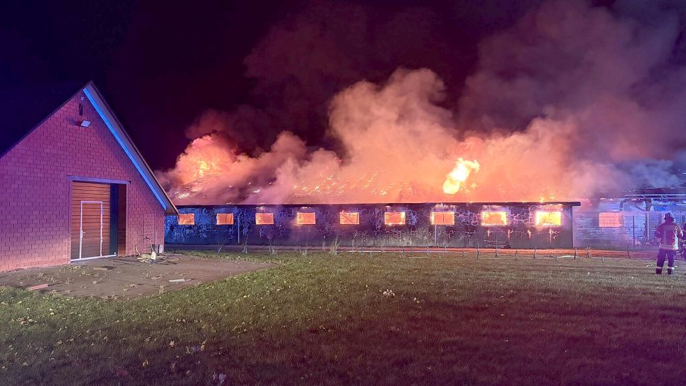 Ein Schweinestall in Vordersten Thüle wurde in der Nacht zu Freitag bei einem Großbrand zerstört. Foto: Jens Kotte/Feuerwehr